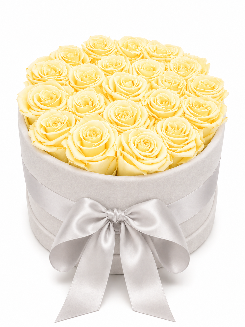 The Velvet Collection Light Grey box (Large)