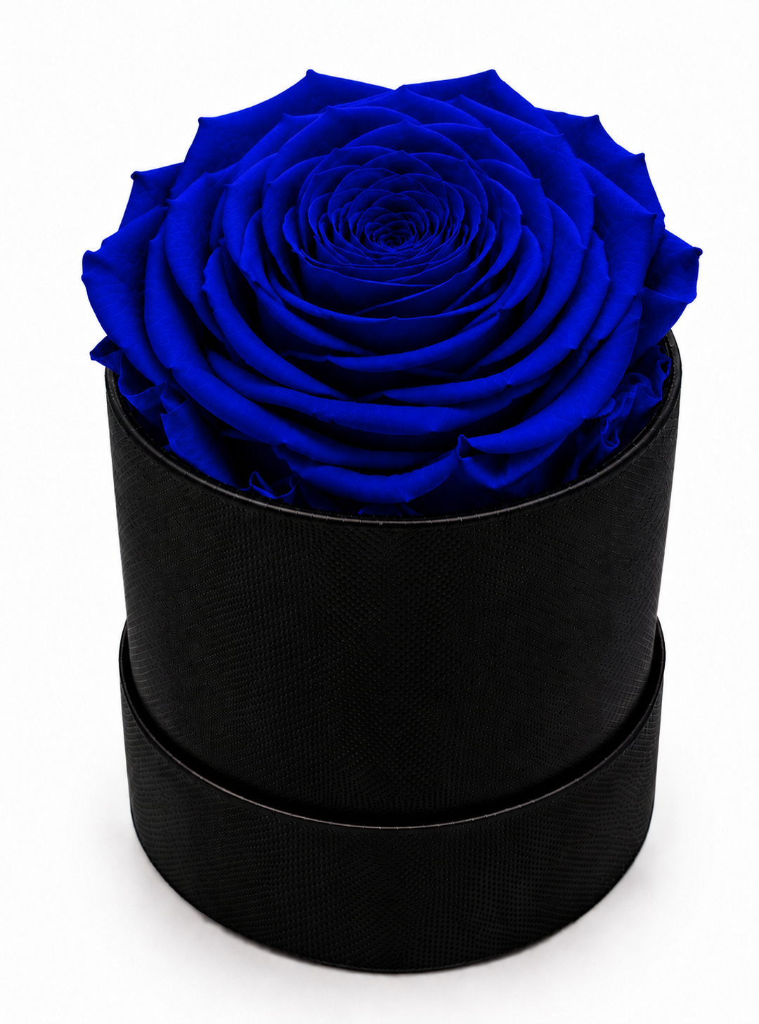 The Mini Collection Black