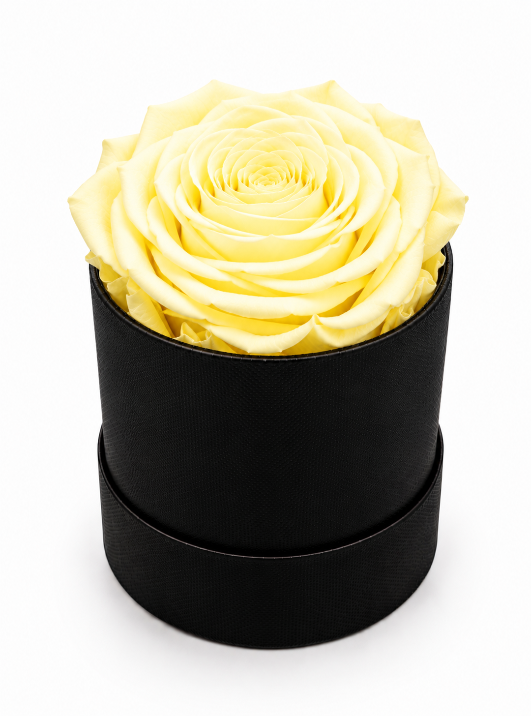 The Mini Collection Black