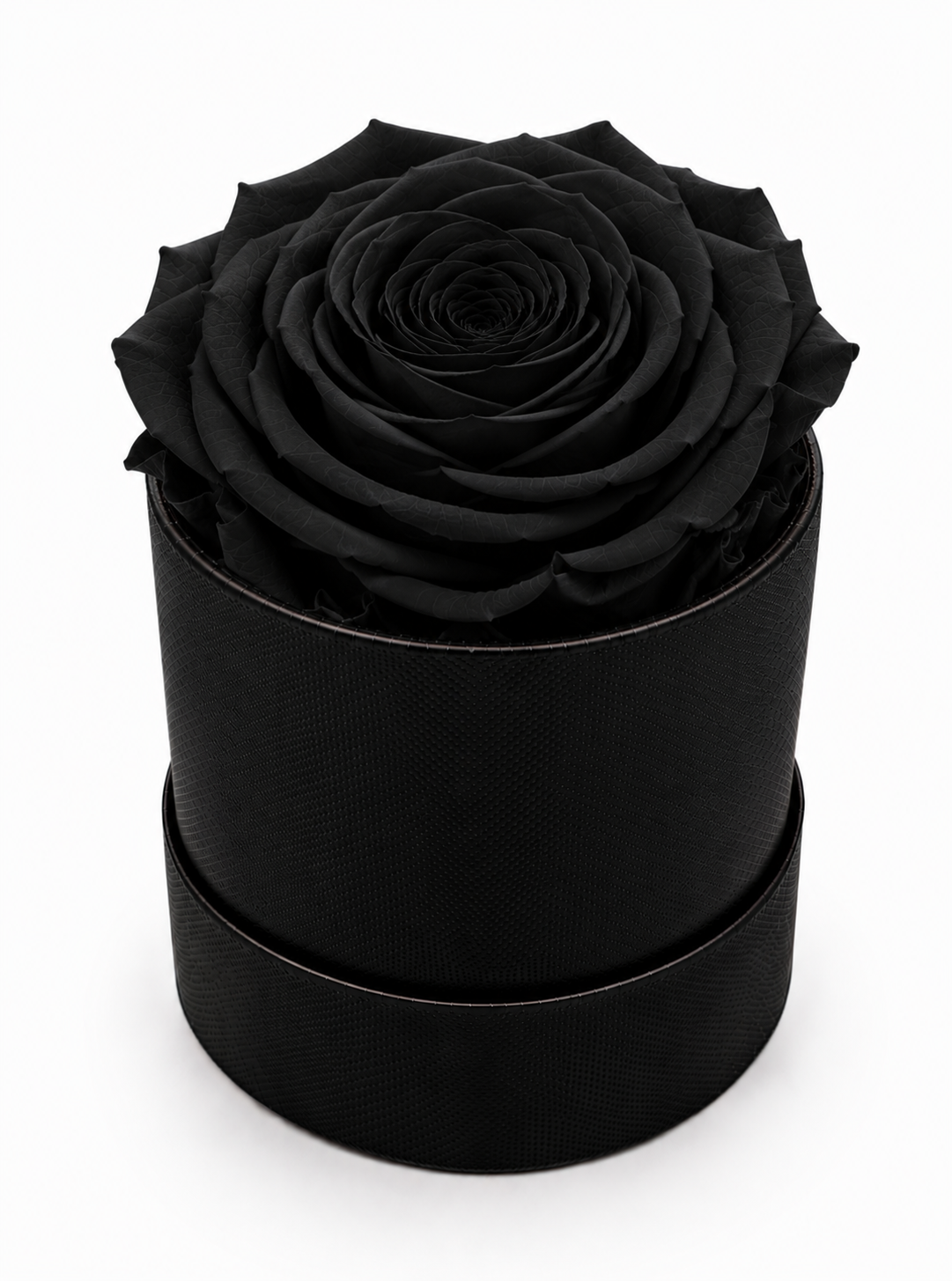 The Mini Collection Black