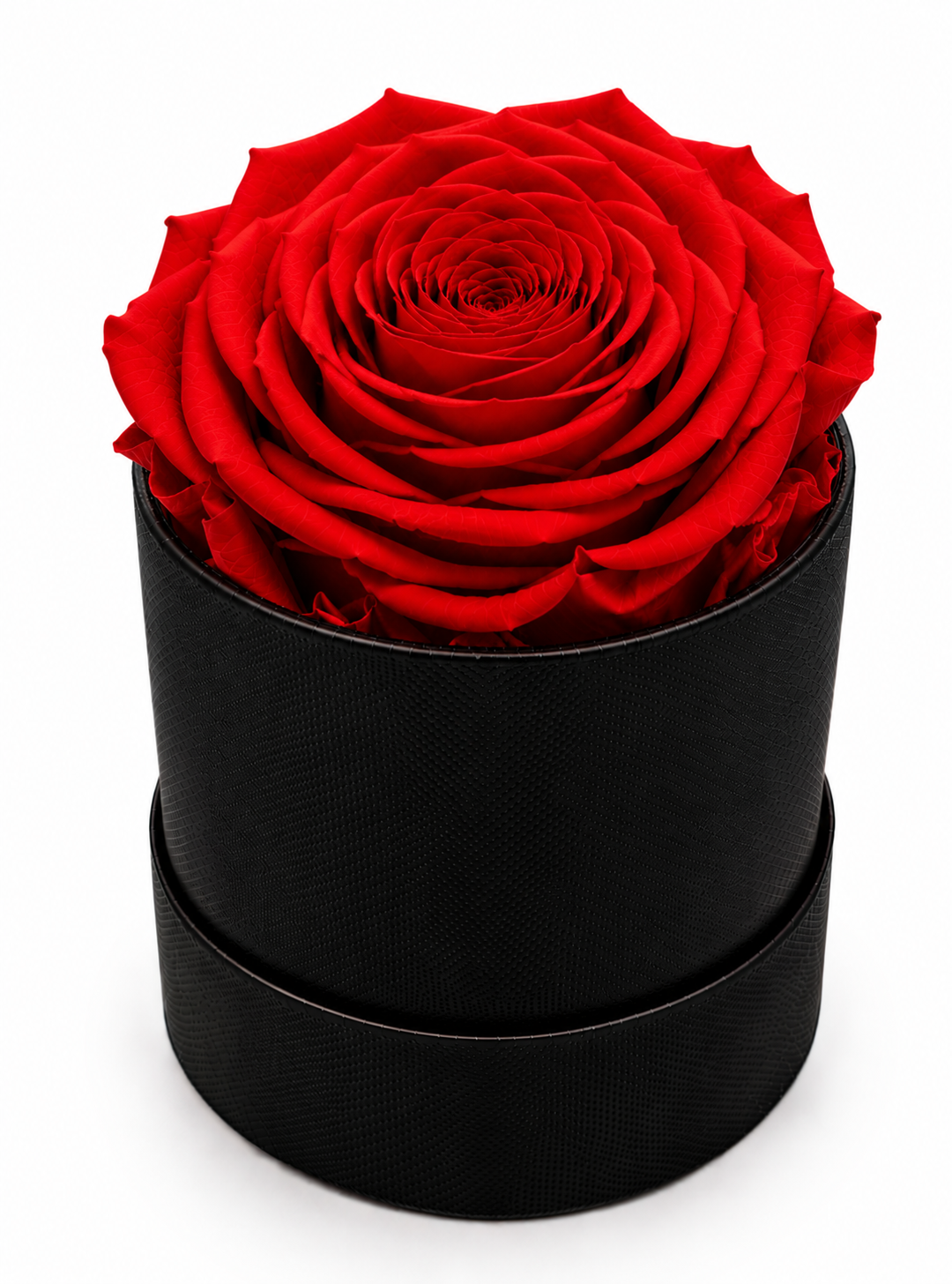 The Mini Collection Black