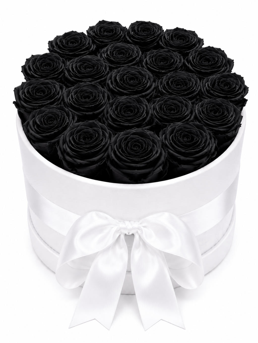 The Velvet Collection White Box (Large)