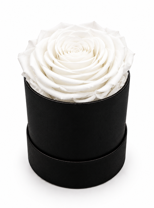 The Mini Collection Black