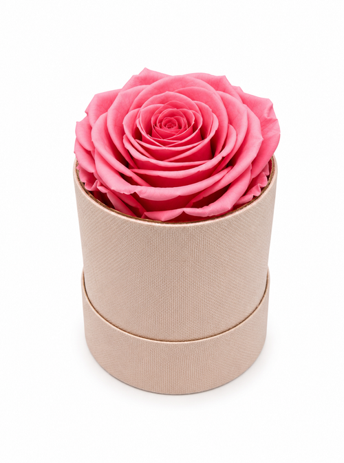 The Mini Collection Blush Pink