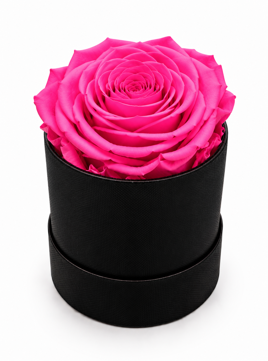 The Mini Collection Black