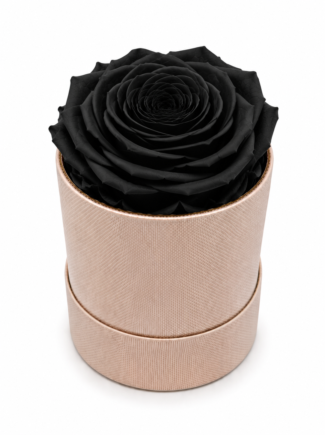 The Mini Collection Blush Pink
