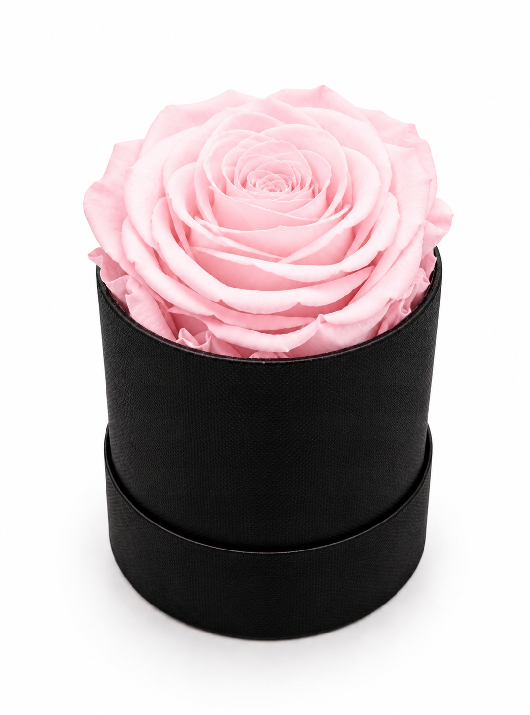 The Mini Collection Black